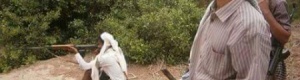 قائد الحزام الأمني بأبين لـ ‘‘الأيام‘‘: شخصيات يمنية نافذة تدعم عناصر القاعدة بالأموال والسلاح