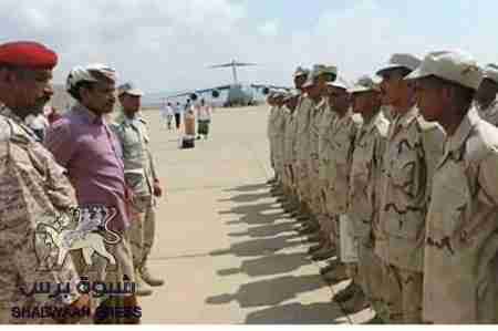 كم عدد أبناء سقطرى في قوات أمن وجيش علي محسن والإخوان