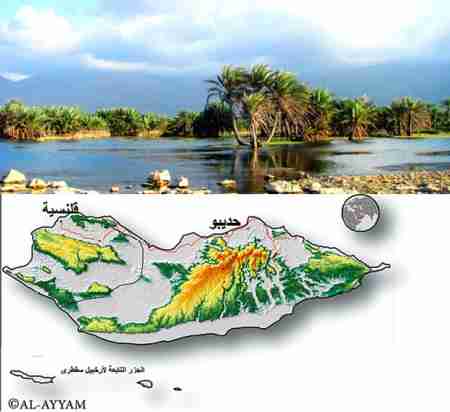 مصدر مسؤول بسقطرى يكشف عن الأسباب الحقيقة لمشكلة سقطرى وهيجان الإخوان المسلمين