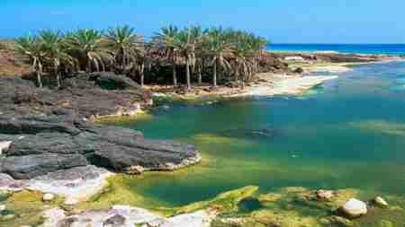 سقطرى.. القضية في الموضوع والموضوع في القضية!!