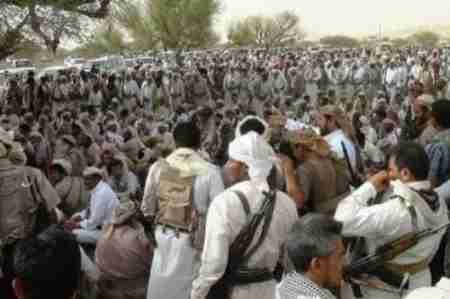 أشراف ومشائخ مأرب يجتمعون لبحث مقتل &lsquo;&lsquo;حسن الشريف&lsquo;&lsquo; في سجون حزب الاصلاح