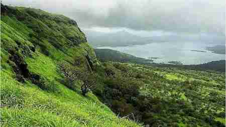 الامن السياسي بالمهرة يعتقل عصابة عسكرية بتهمة تجنيد شباب في مارب .