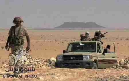 قادة النخبة الشبوانية يزورون معسكر حراد الصحراوي