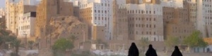 مشكلة حضرموت داخلية مع إستغلال خارجي ..