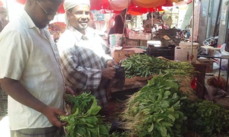 على شفا المجاعة بحضرموت..‘‘اقبال على الخضروات الورقية‘‘