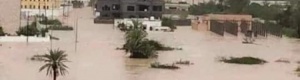محافظ المهرة يعلن إعادة فتح طريق الغيضة - شحن