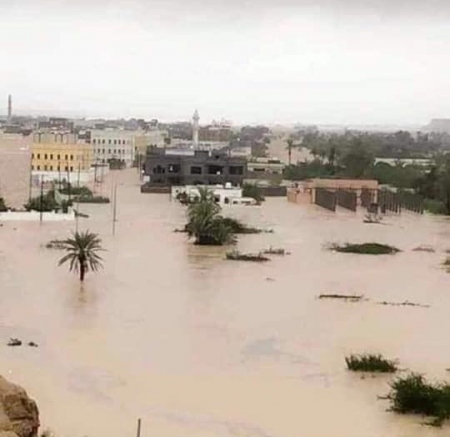 محافظ المهرة يعلن إعادة فتح طريق الغيضة - شحن
