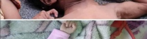 الصحفي بسام القاضي يعلّق على سلطات محافظة لحج حول إنكار مجاعة المسيمير.