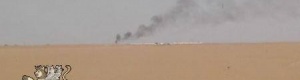 معلومات صادمة من شبوة : الثروة البترولية مهدرة ونقمة على أبناء المحافظة